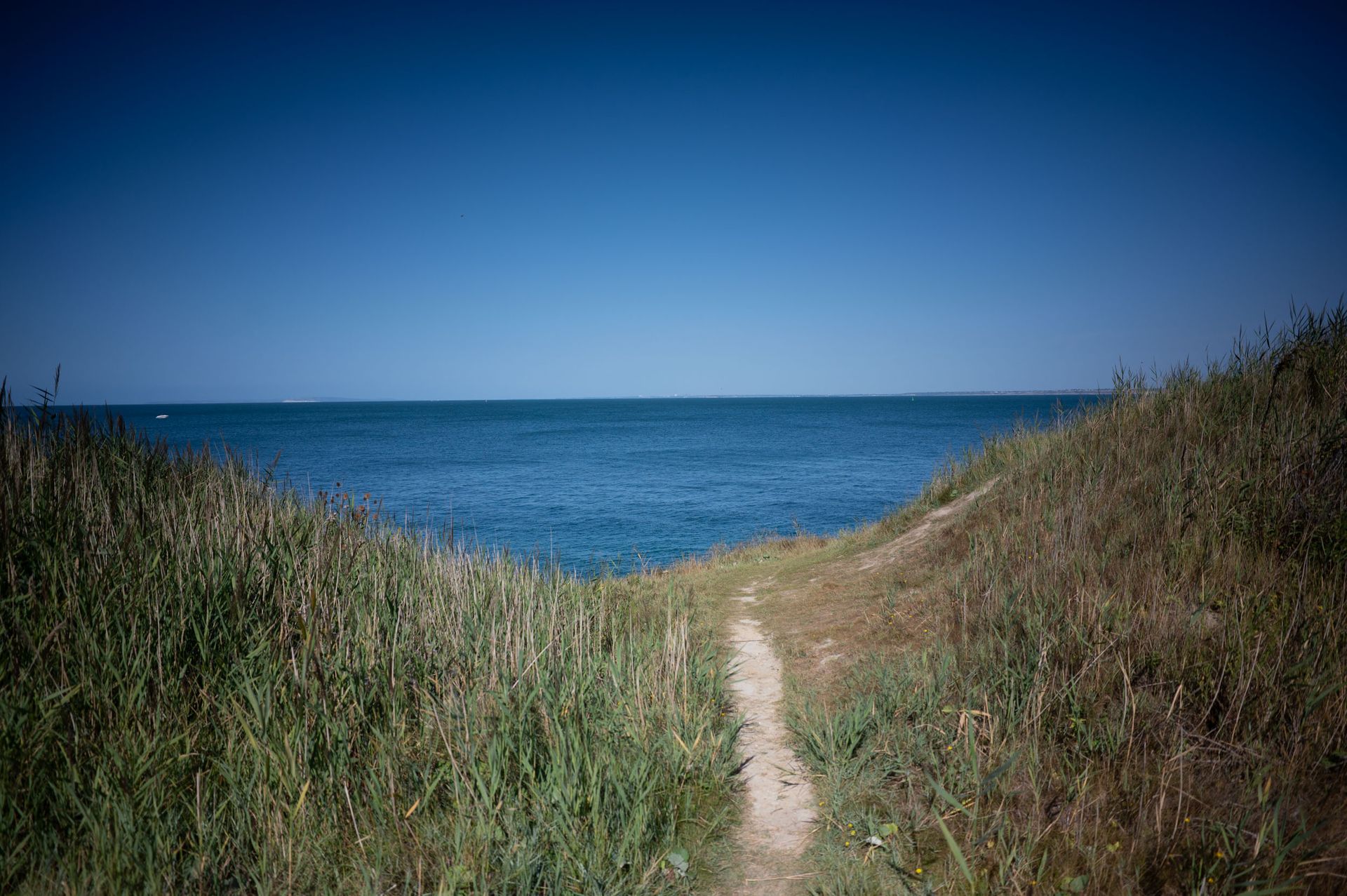 A sandy path leads to the ocean on a clear sunny day, seen between long grassy hills