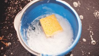 Bucket of soapy water with sponge