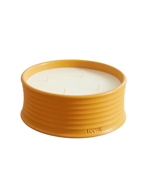 Ginger Large Scented Outdoor Candle, 750 G