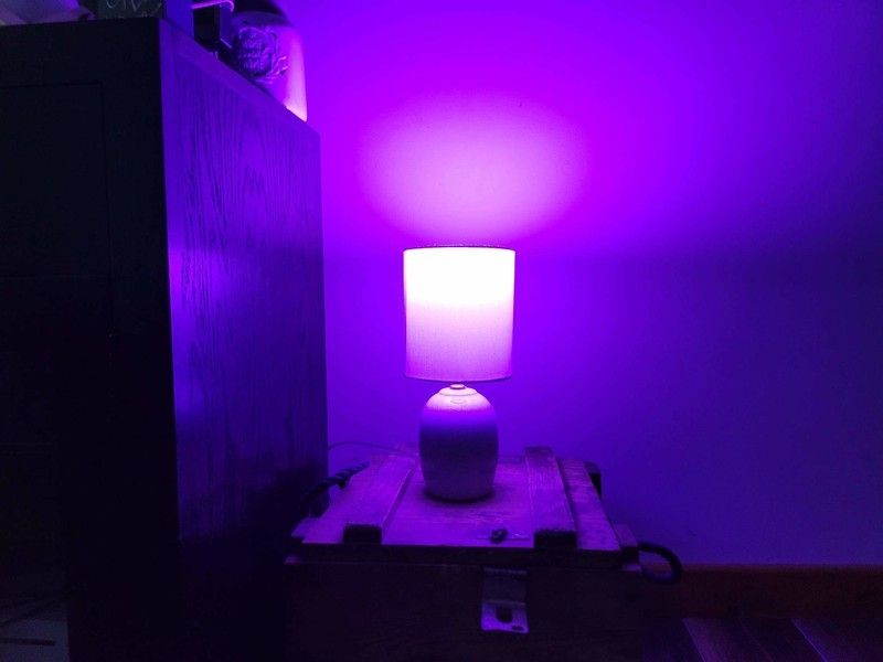Wyze Bulb Color Purple Lifestyle