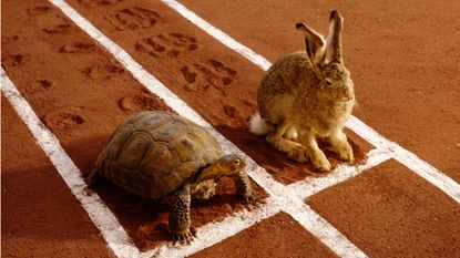 A tortoise and a hare at the starting line of a track.