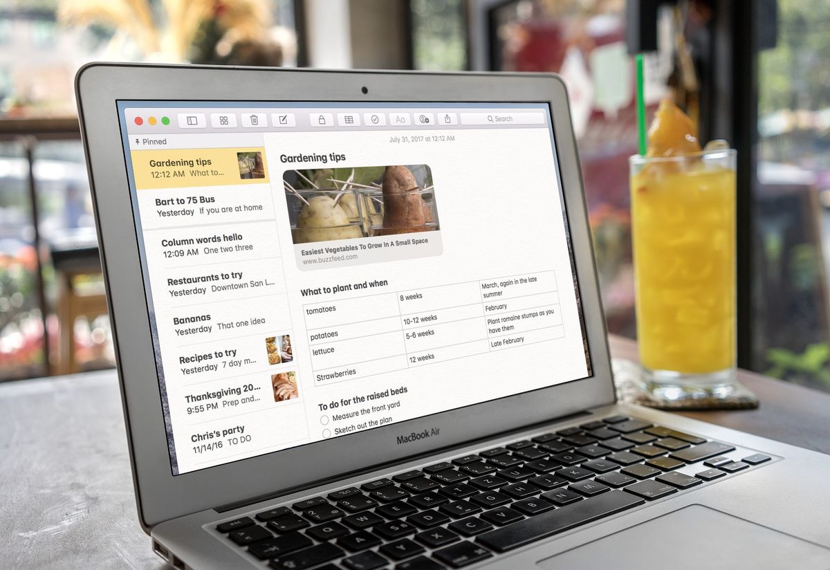 Notes app on Mac