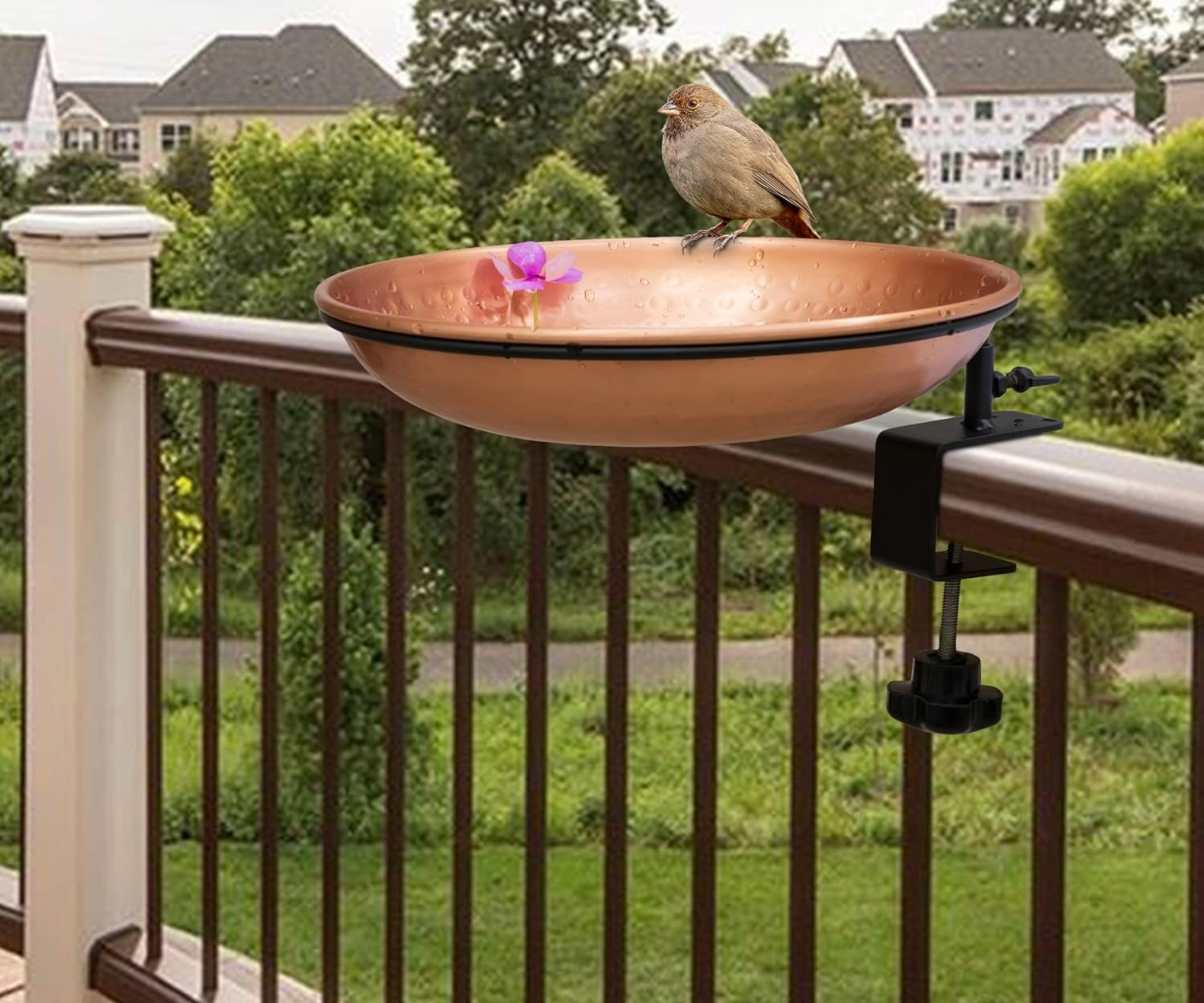 Monarch Bird Bath