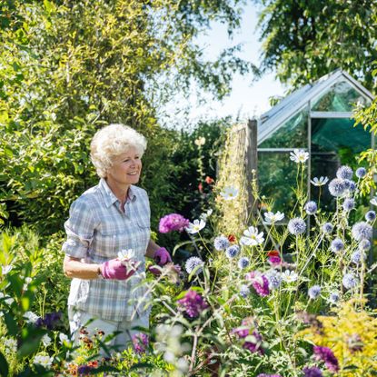 Caucasian woman in early 60s pleased with summer growth of flowering plants in her backyard English garden.