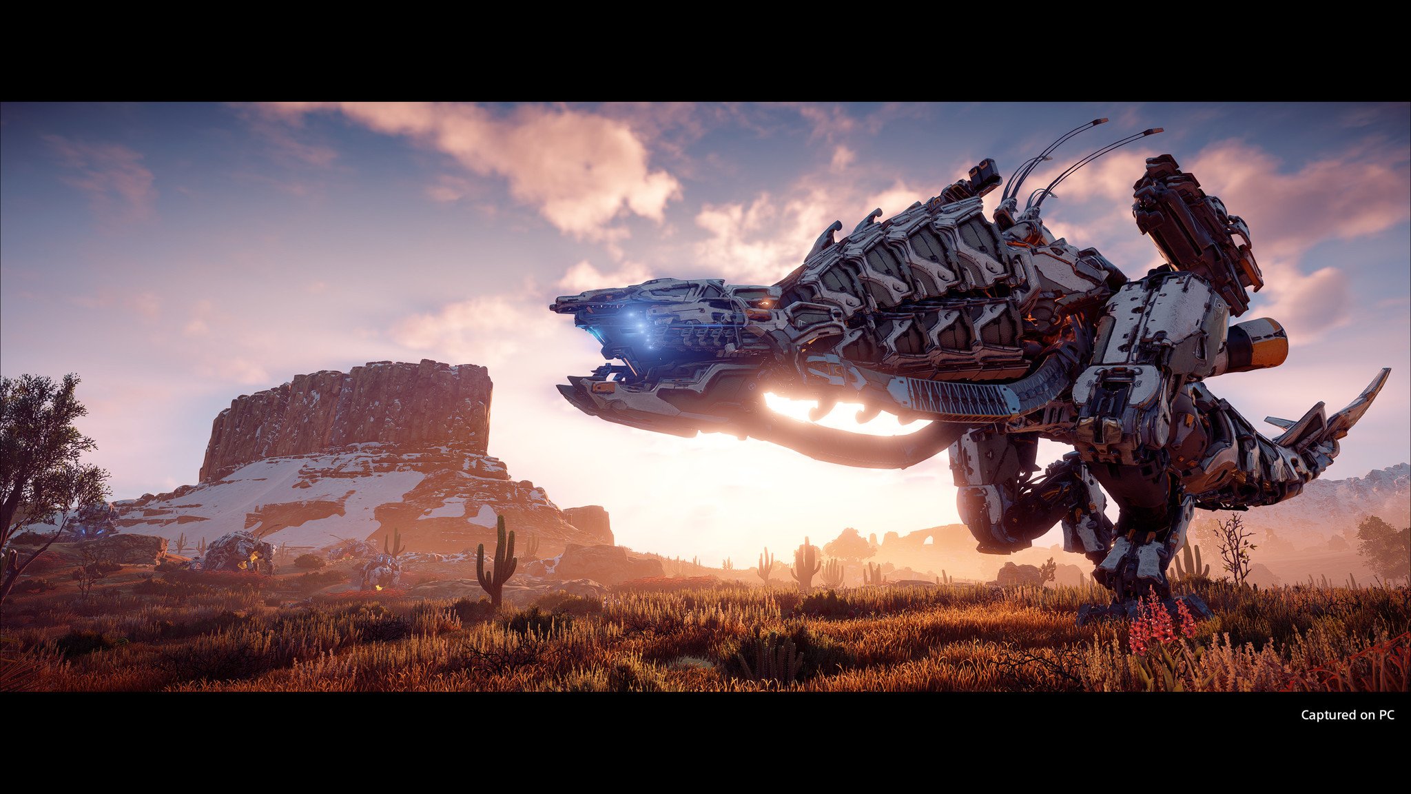 Captura de pantalla de Horizon Zero Dawn para PC