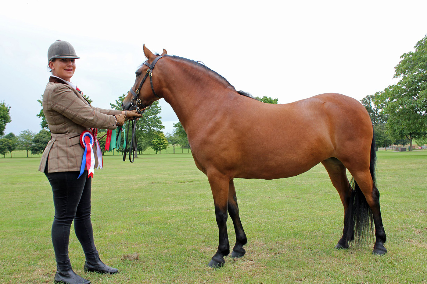 RBST At Risk Champion - Marleydenes Miriam