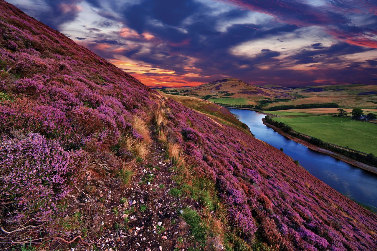 The race could provide some beautiful scenery