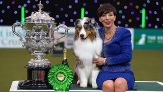 Viking the Australian Shepherd Dog winning best in show at Crufts 2024