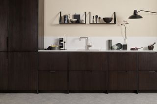 Contemporary kitchen with dark brown cabinets and sleek chrome tap