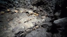 Skulls discovered at the Aztec 'trophy' excavation site in 2015.
