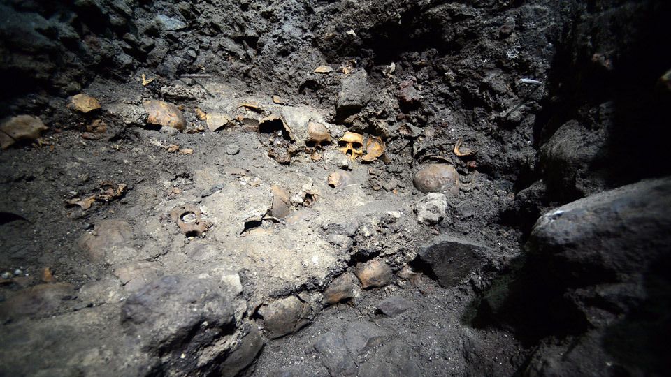 Skulls discovered at the Aztec &#039;trophy&#039; excavation site in 2015.