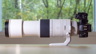 Canon RF 200-800mm F6.3-9 lens on a table at its 800mm setting, mounted to a Canon EOS R5