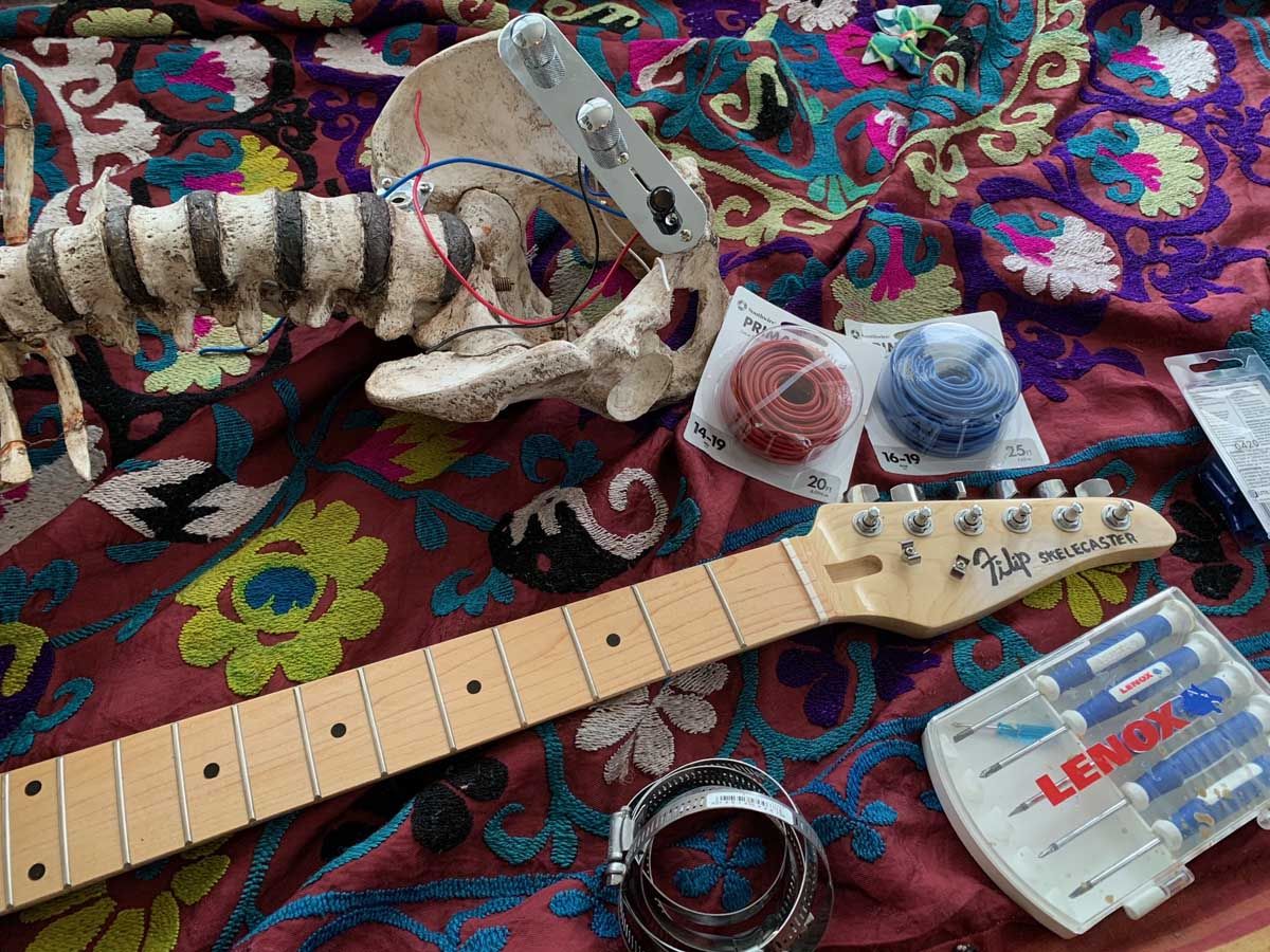 Prince Midnight Skelecaster