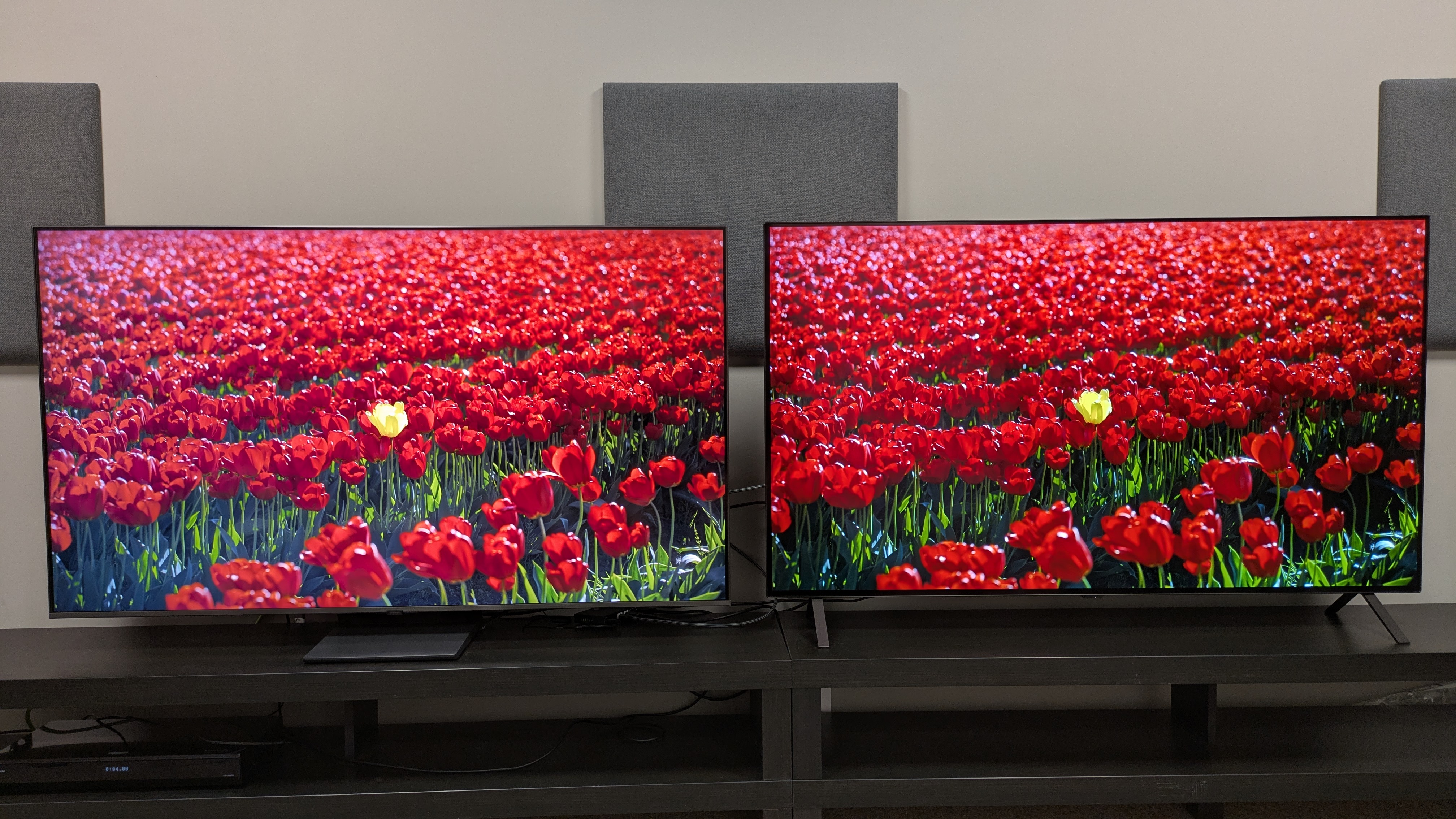 Samsung QN80F (left) and LG B5 (right) displaying red flowers on screen 
