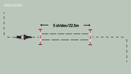 Diagram showing two poles set up 5 strides (22.5m) apart