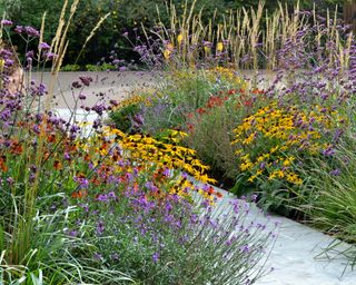 How to plant a cottage garden border - by Tracy Foster Garden Design
