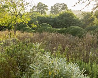 Cloud-pruned topiary cleverly hides a tennis court from view, while ornamental crab apples provide height in blocks of meadow grass