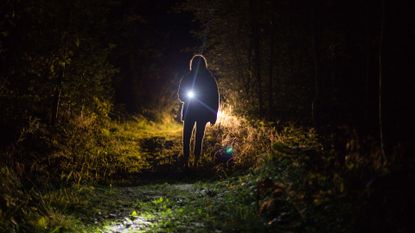best torch: Person walking through a field in the dark with a torch