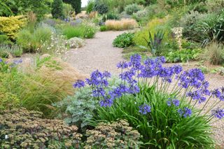 gravel garden with borders filled with ornamental grasses