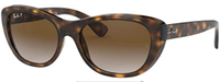 Ray-Ban Women's Cat Eye Square Sunglasses | Price Shown In Cart
