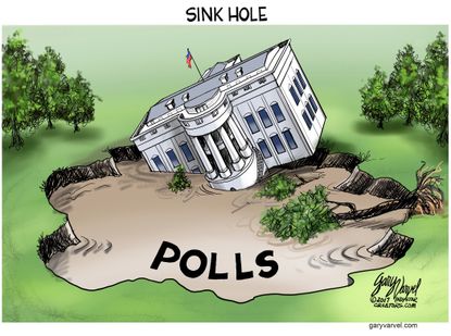 Political cartoon U.S. Trump poll approval ratings