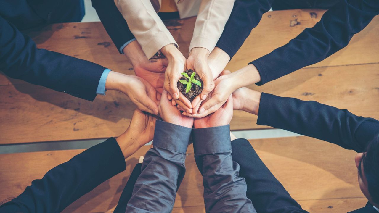 Five pairs of hands cradle a small plant together.