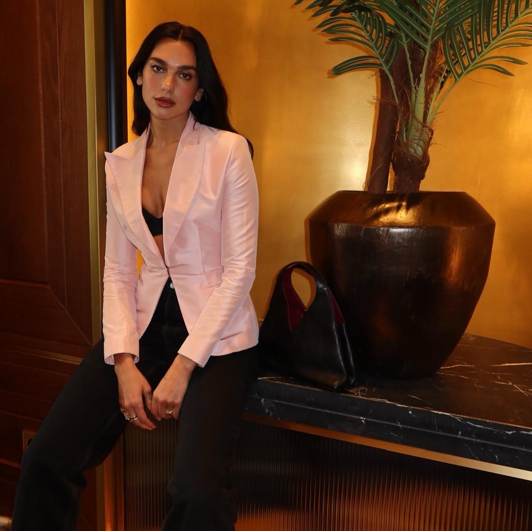 Dua Lipa wore the peony pink color trend for her instagram post