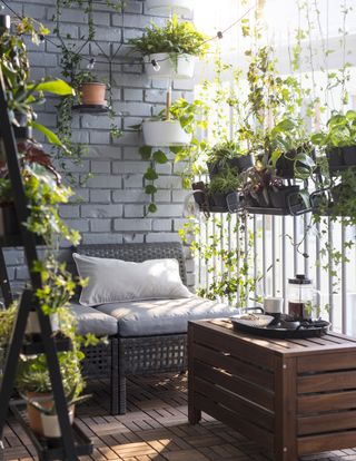 Balcony with seating, plants on shelves and hanging plants