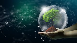 A close up of a person&amp;#039;s hands holding a small tree inside a bubble, in front of a background of an abstract digital render of white lines connected by dots