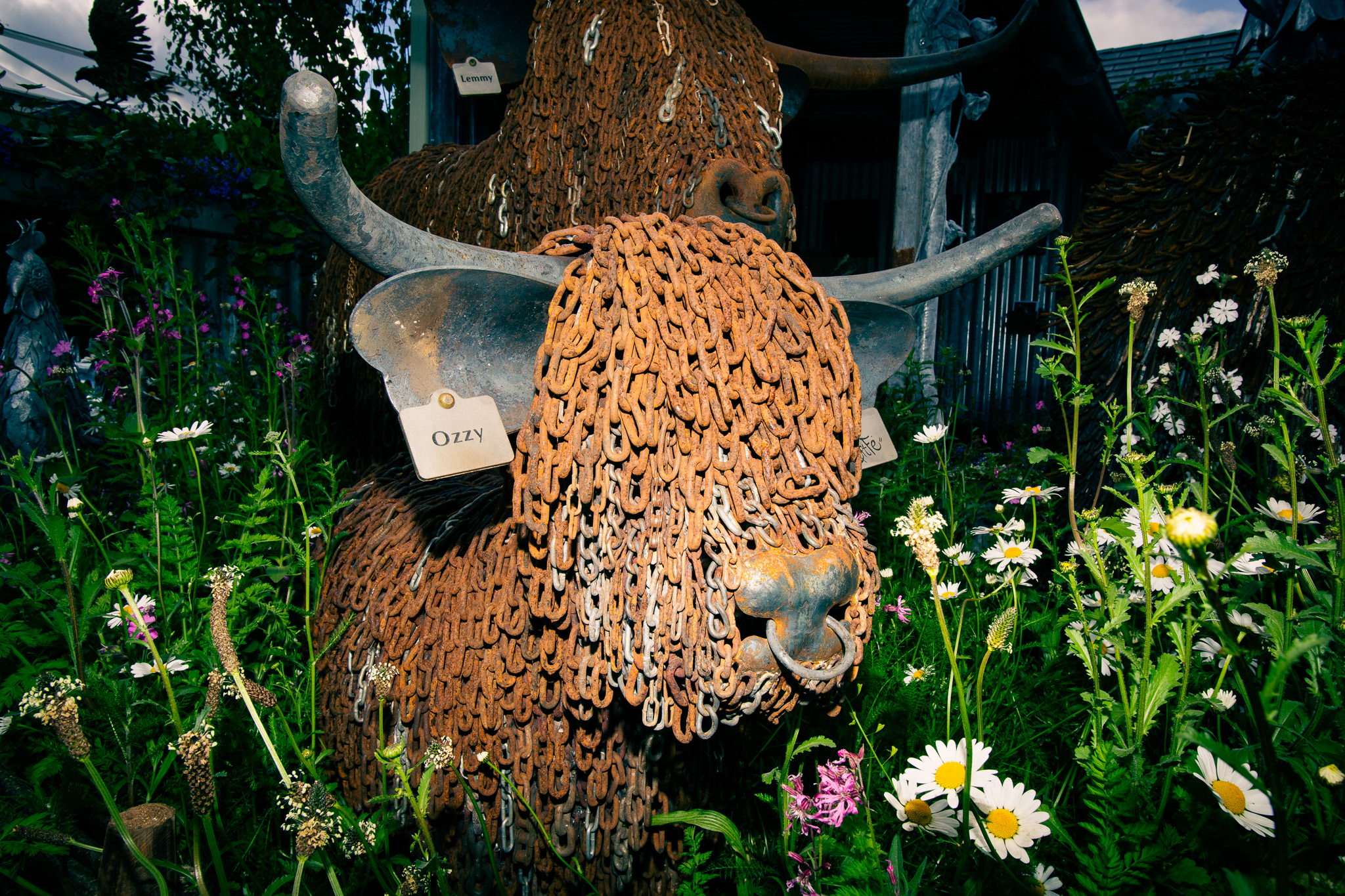 RHS Chelsea Flower Show 2026