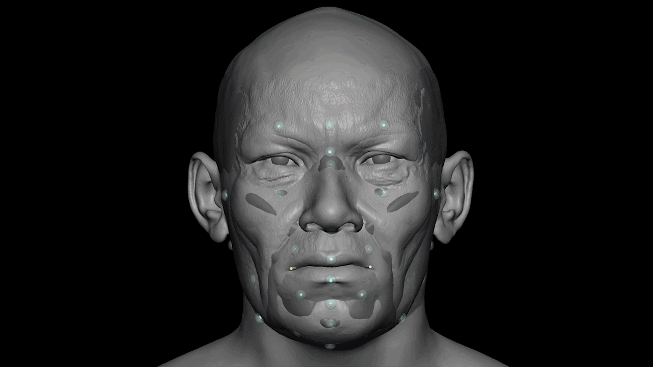 An illustration of a man's face as it rotates, showing the different layers of his muscles and skin.