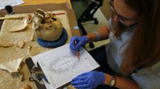 An anthropologist studies skeletal remains at Texas State University. 