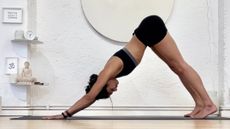 Woman holding a downward dog pose