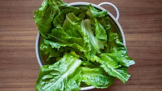 low calorie filling foods lettuce