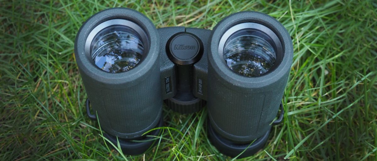 Nikon Prostaff P3 8x30 review