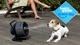 Shark HydroGo misting fan