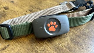 a photo of the PitPat GPS dog tracker on a collar