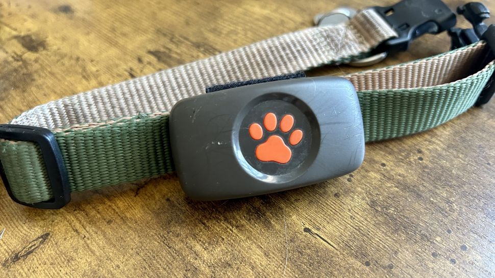 I put a GPS tracker on my dog — here's how far he ran Tom's Guide
