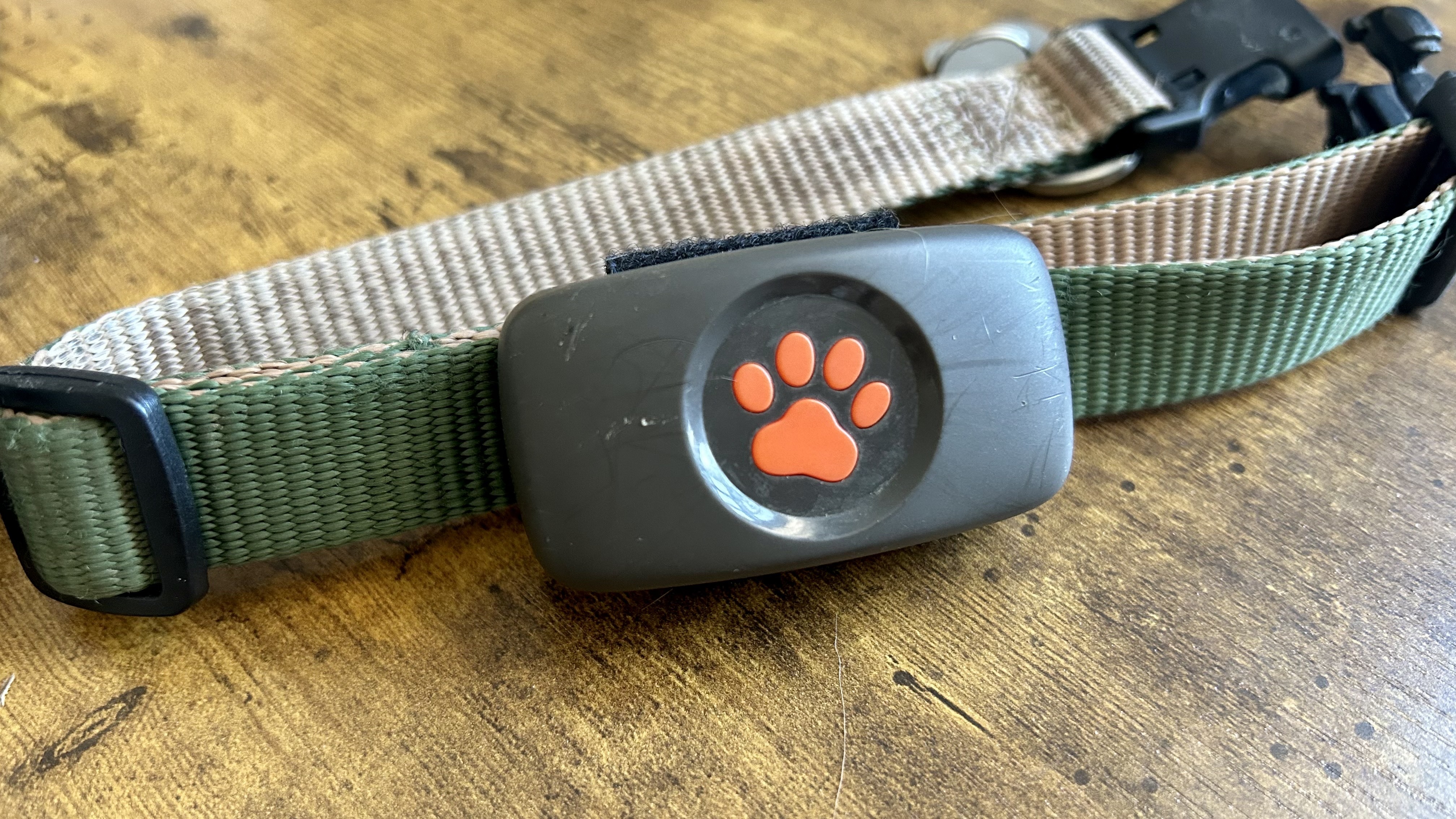 ein Foto des PitPat GPS-Hundetrackers an einem Halsband