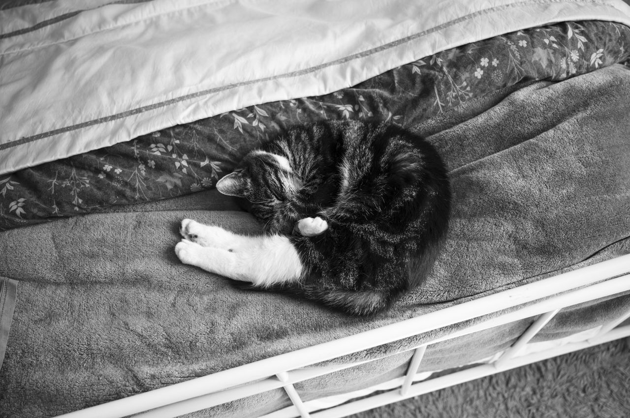 Leica 28mm Summicron-M samples