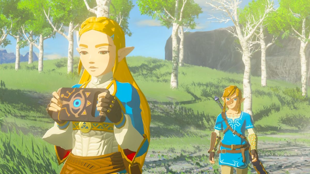 memory pictures breath of the wild