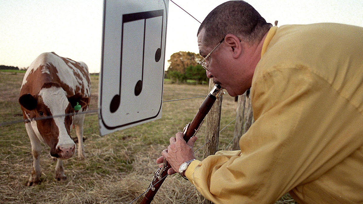 Cuba&#039;s Paquito D&#039; Rivera plays the clarinet before a session of the international jazz festival being held in Maldonado, Uruguay. The festival runs 05 January to 08 January. AFP PHOTO/Leo BARIZZONI (Photo by LEO BARIZZONI / AFP) (Photo by LEO BARIZZONI/AFP via Getty Images)
