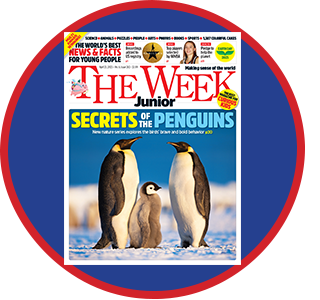 The Week Junior Teacher Guide Bubble 262
