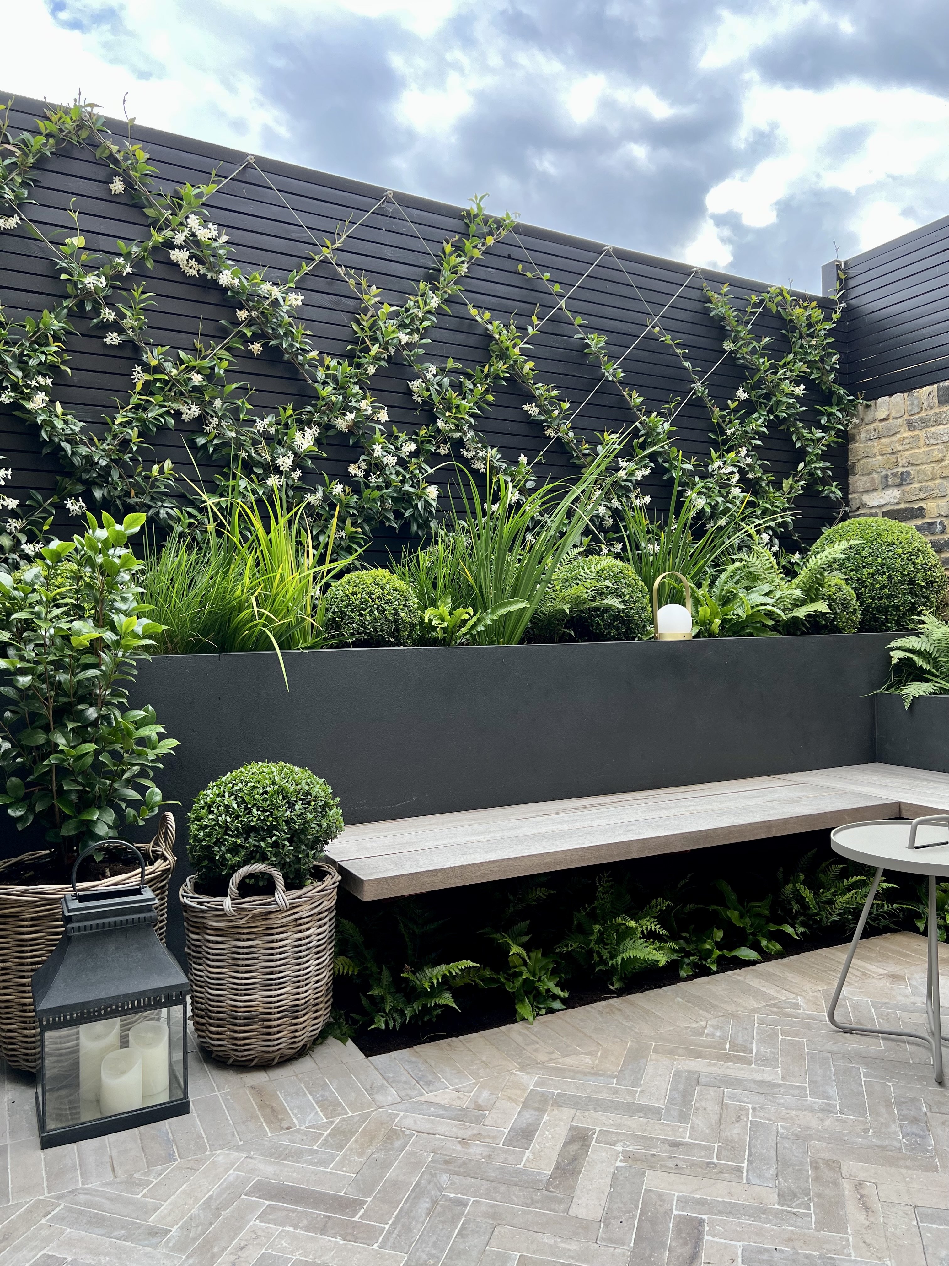 a black painted garden with a floating bench seat underplanted with ferns and a criss cross climbing plant on the walls