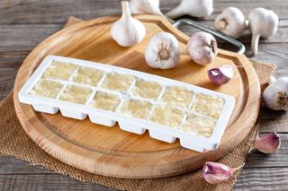 frozen garlic in ice cube trays