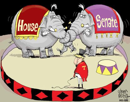 Political cartoon U.S. Trump Senate House politics