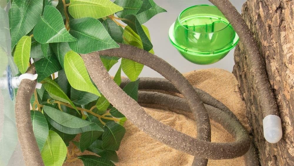 Best toys for pet lizards Banish boredom with our top picks PetsRadar