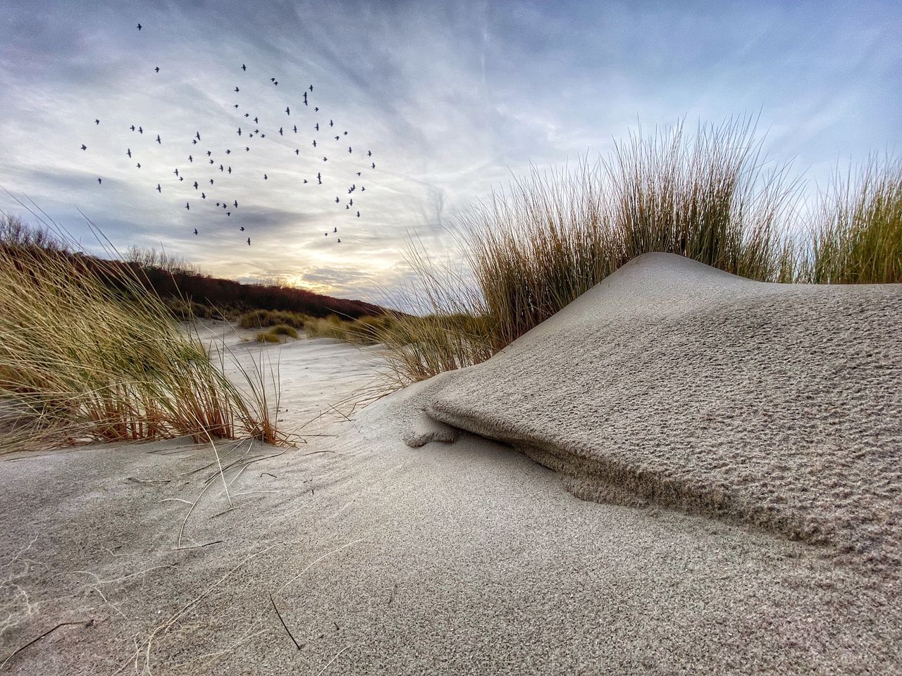 Nico Brons iPhone Photography Awards