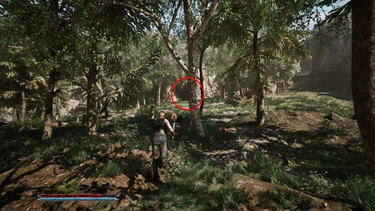 Gothic Remake Snaf's Recipe: A player looking at a cave in a forest, which is circled in red.