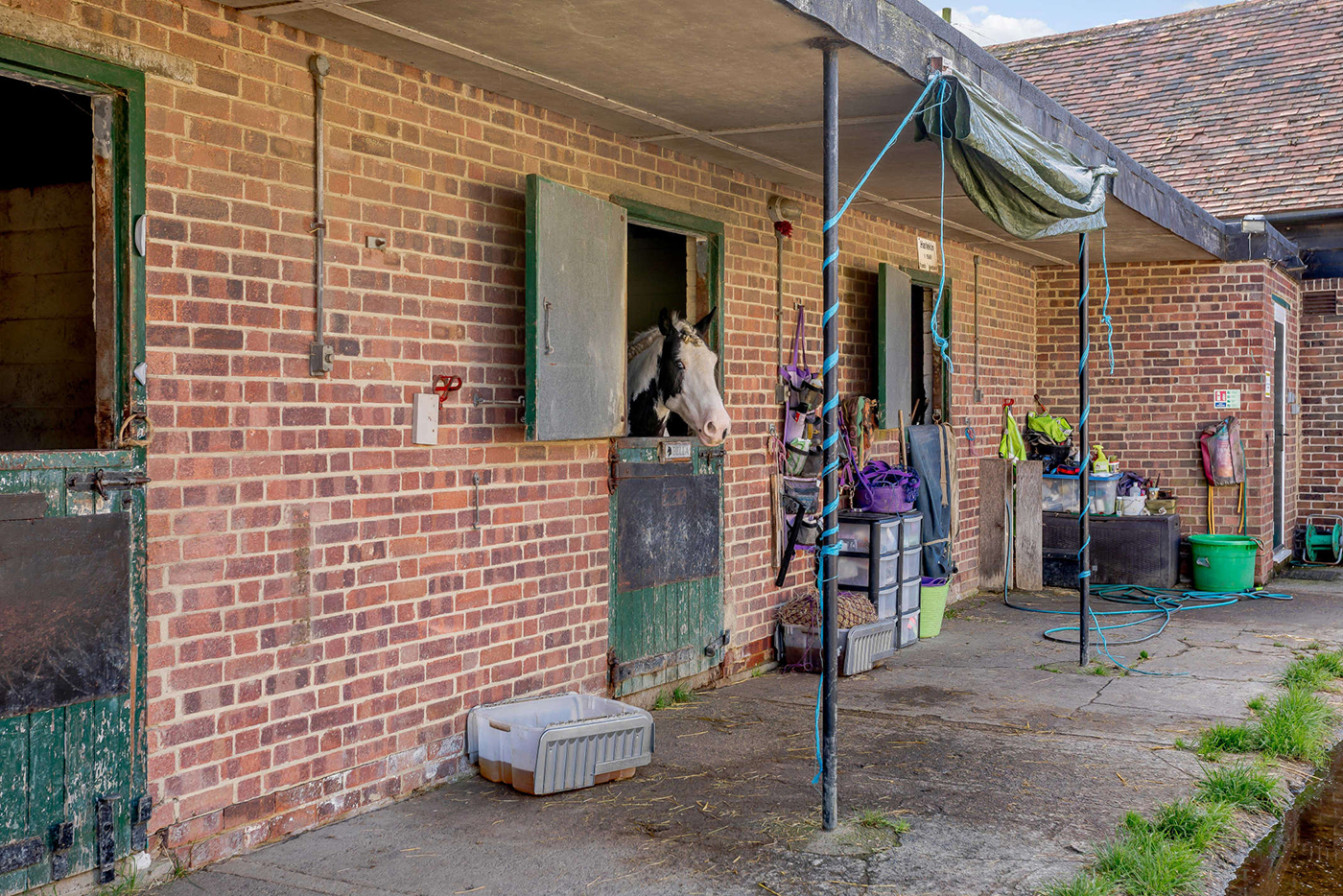 8478136-Exterior12-800